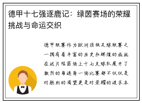 德甲十七强逐鹿记：绿茵赛场的荣耀挑战与命运交织